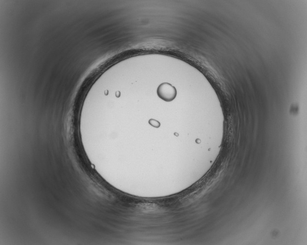 X0000116670392201001111315