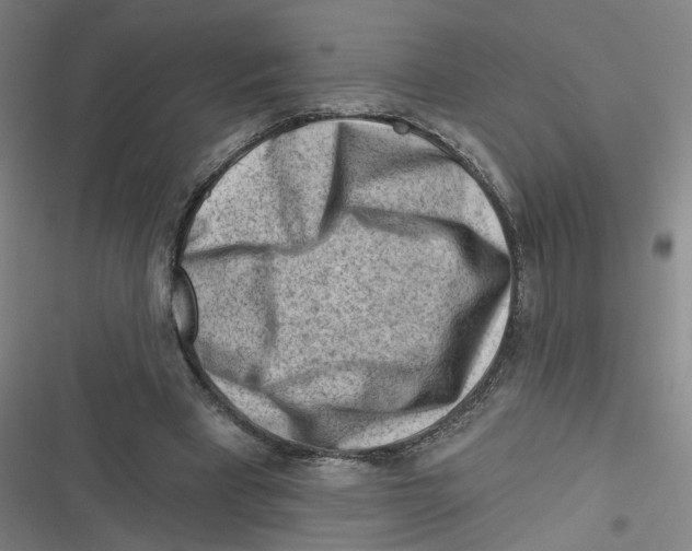 X0000116670393201001111315