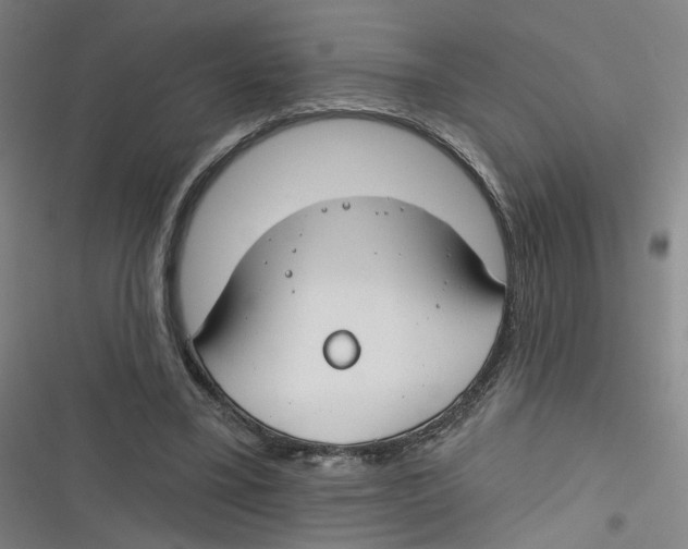 X0000116670395201001111315