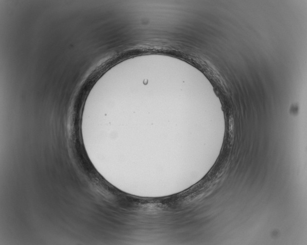 X0000116670396201001111315