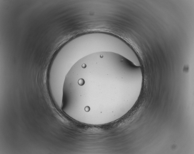 X0000116670397201001111315