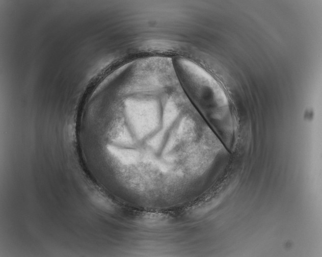 X0000116670399201001111315