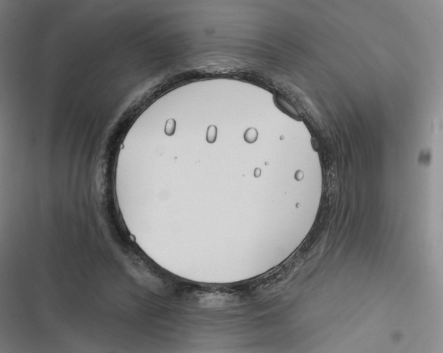 X0000116670400201001111315