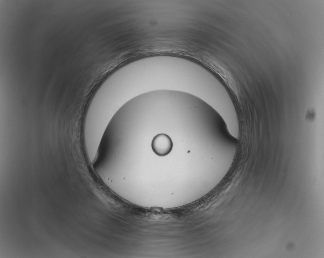 X0000116670401201001111315