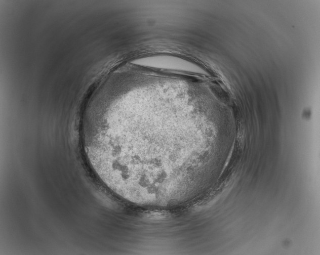 X0000116670402201001111315