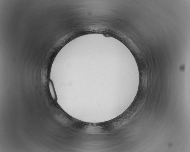 X0000116670403201001111315