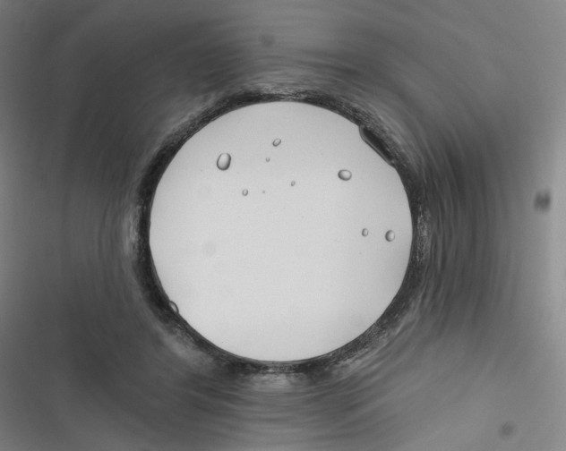 X0000116670404201001111315