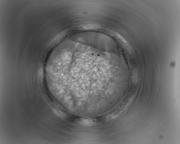 X0000116670405201001111315