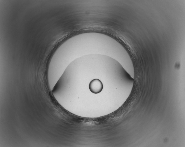 X0000116670407201001111315