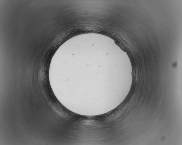 X0000116670408201001111315