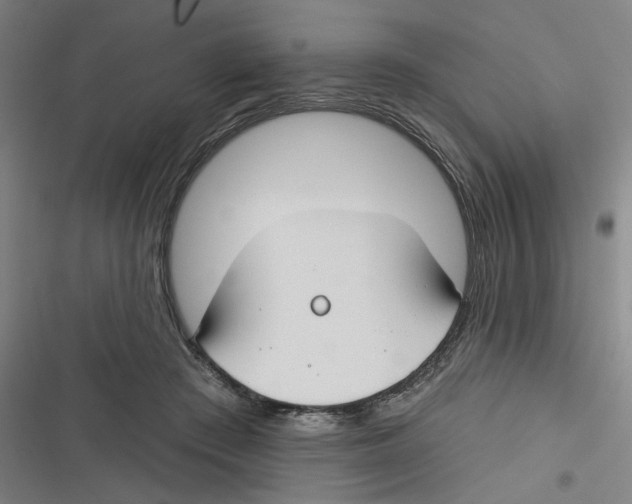 X0000116670409201001111315