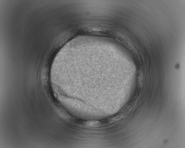 X0000116670410201001111315