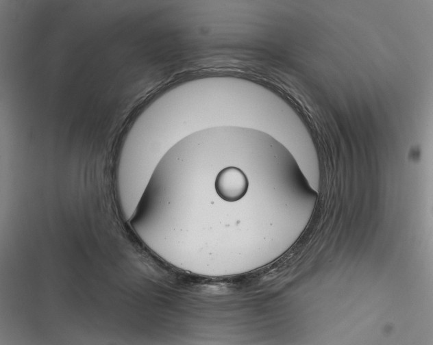 X0000116670411201001111315