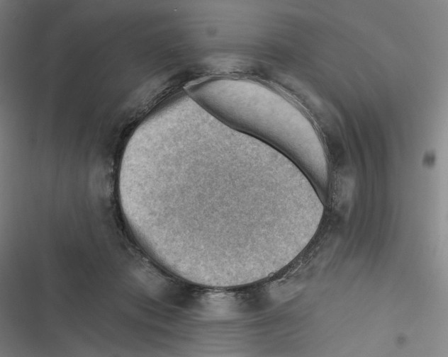 X0000116670413201001111315