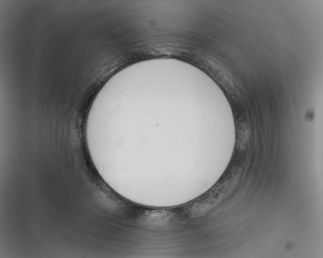 X0000116670414201001111315