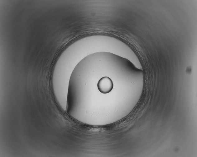 X0000116670415201001111315