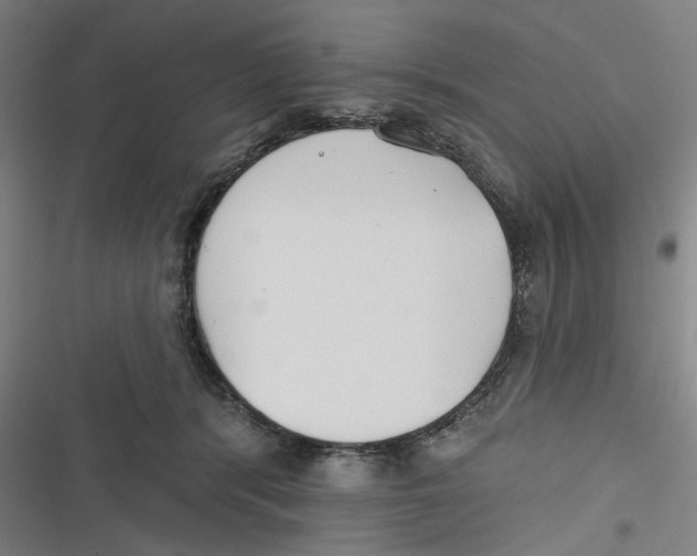 X0000116670416201001111315