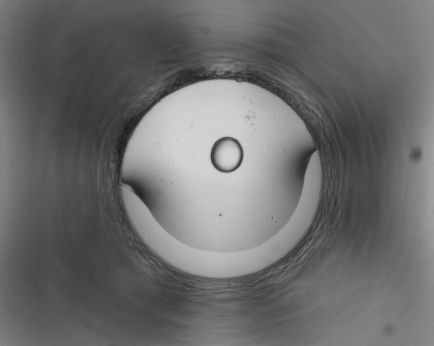 X0000116670417201001111315