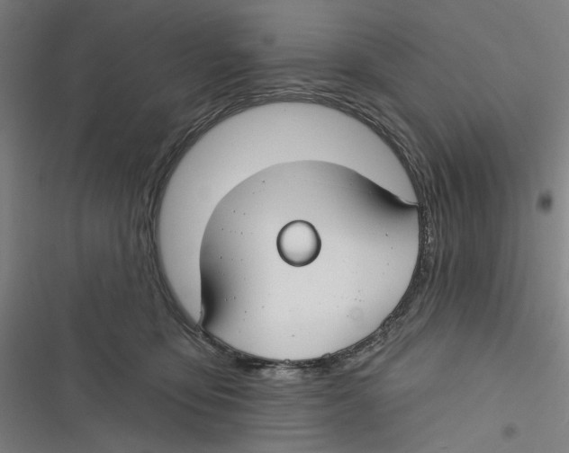 X0000116670419201001111315