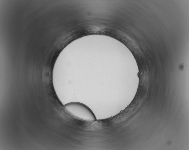 X0000116670421201001111315