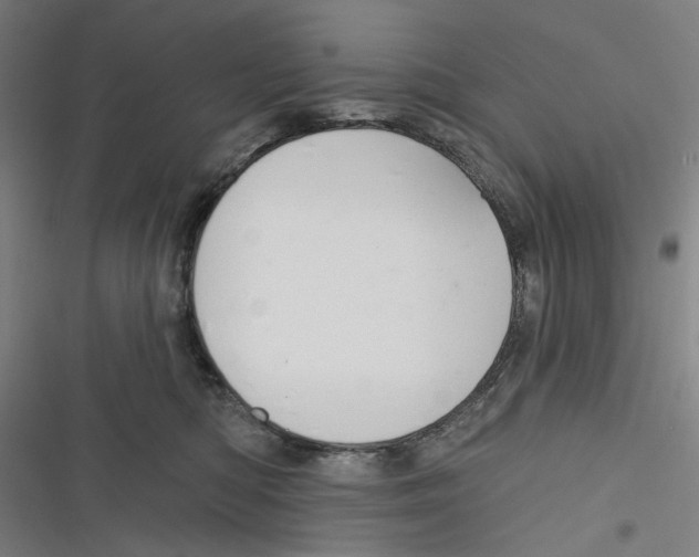 X0000116670422201001111315