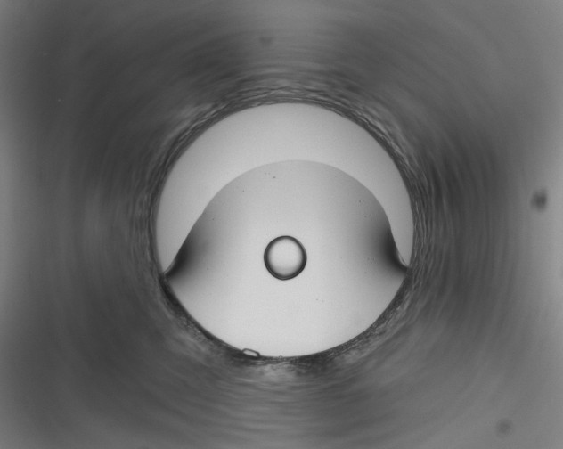 X0000116670423201001111315