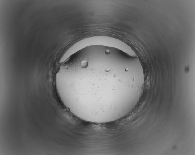 X0000116670424201001111315