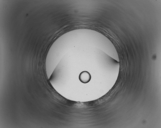 X0000116670425201001111315