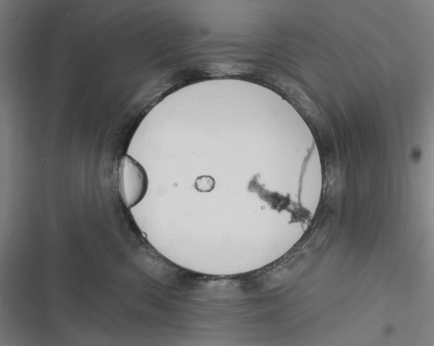 X0000116670426201001111315