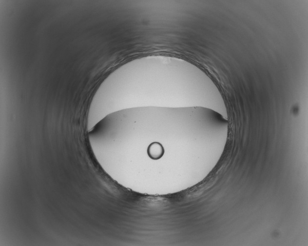 X0000116670427201001111315