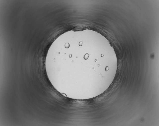 X0000116670428201001111315