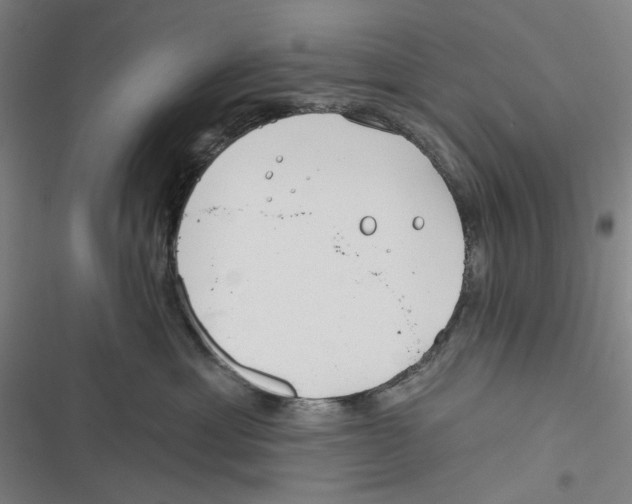 X0000116670429201001111315