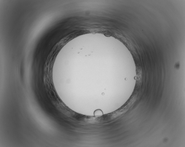 X0000116670430201001111315