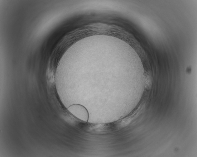 X0000116670431201001111315