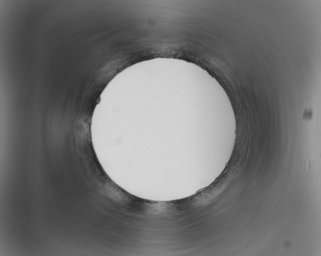 X0000116670432201001111315