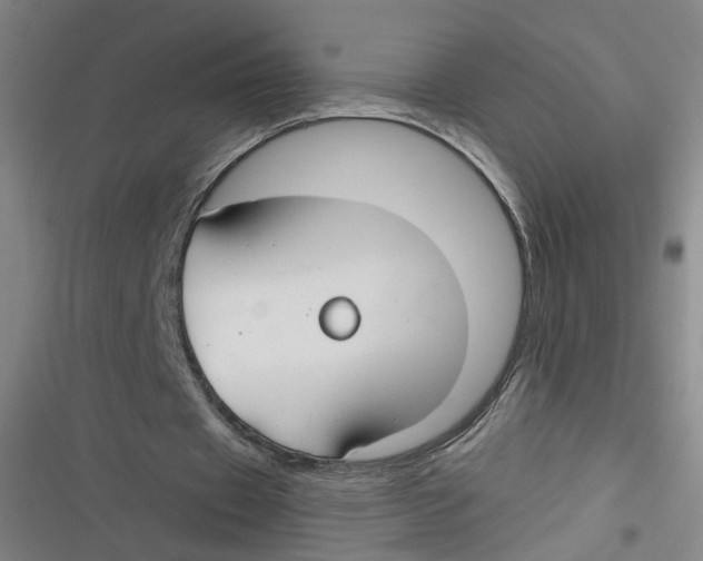 X0000116670433201001111314