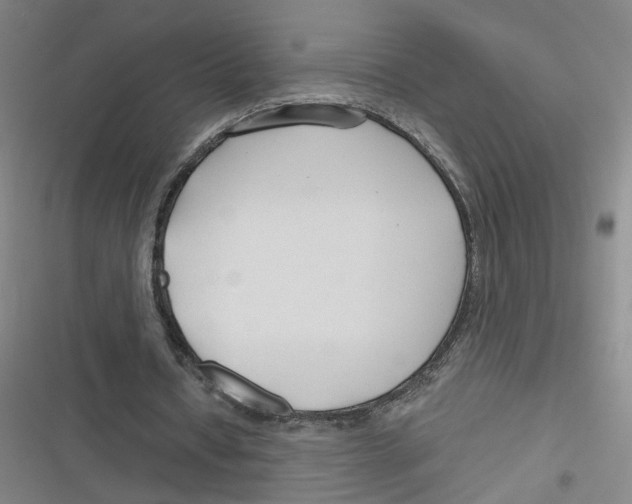 X0000116670434201001111314