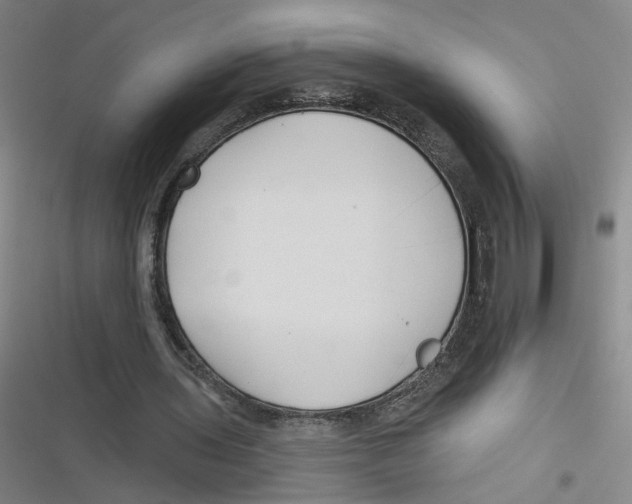 X0000116670435201001111314