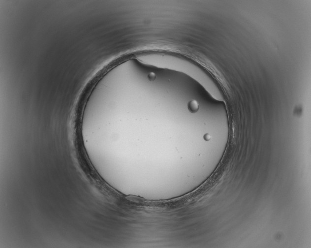 X0000116670436201001111314