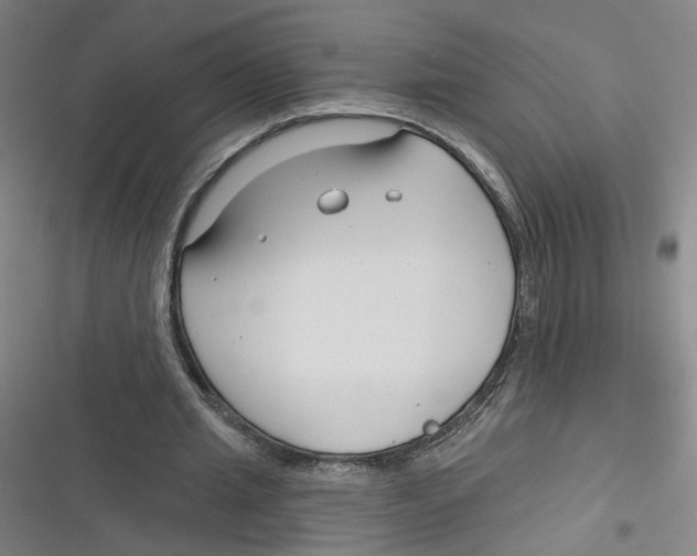 X0000116670437201001111314