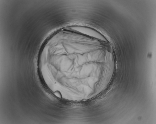 X0000116670438201001111314