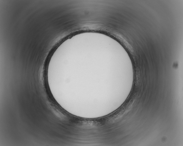 X0000116670439201001111314