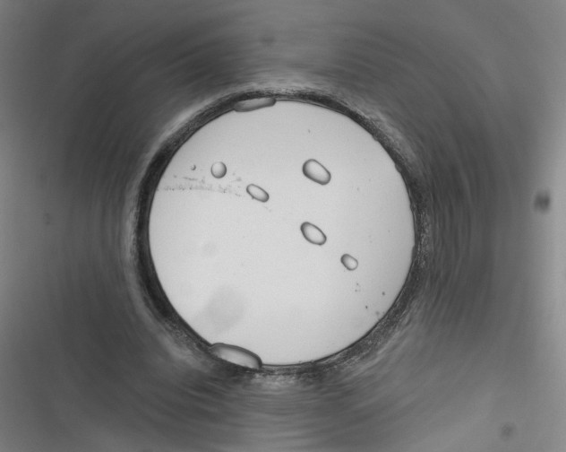 X0000116670440201001111314