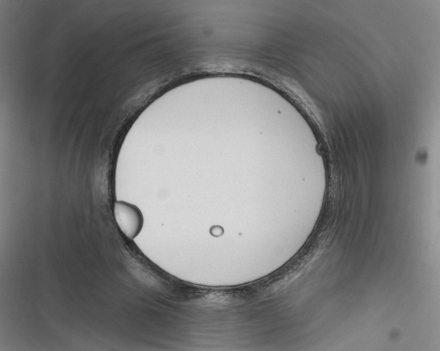 X0000116670441201001111314