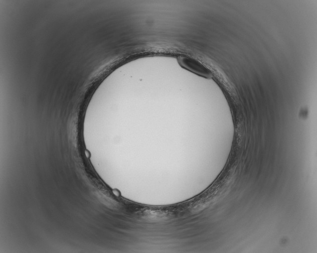 X0000116670442201001111314