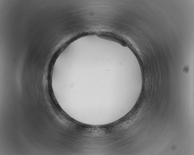 X0000116670443201001111314