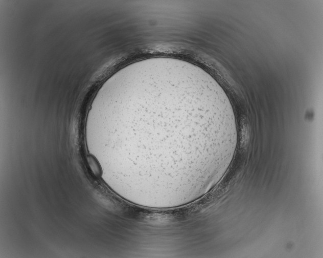 X0000116670444201001111314