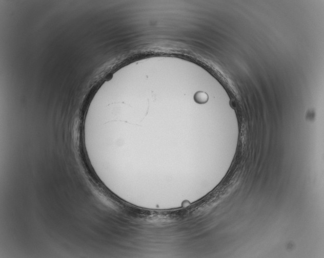 X0000116670445201001111314