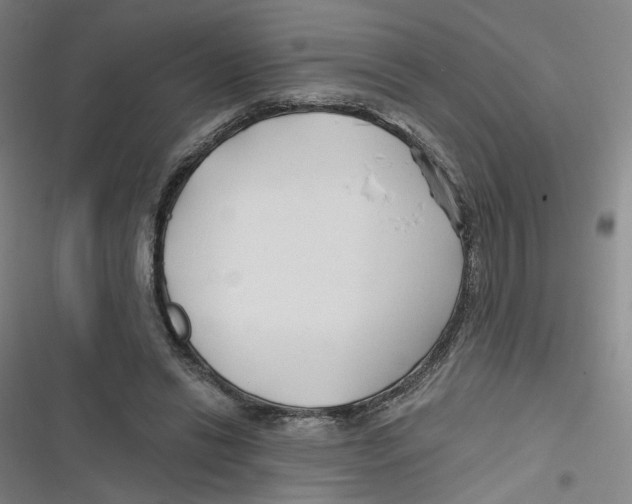 X0000116670446201001111314