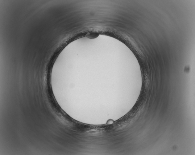 X0000116670447201001111314